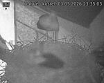 Capi_Dubne_20260503_233503.jpg