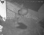Capi_Dubne_20260503_234002.jpg