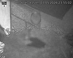 Capi_Dubne_20260503_235502.jpg