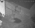 Capi_Dubne_20260504_003002.jpg