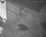 Capi_Dubne_20260504_003502.jpg