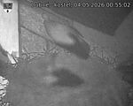 Capi_Dubne_20260504_005502.jpg