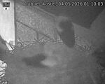 Capi_Dubne_20260504_011003.jpg