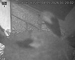 Capi_Dubne_20260504_012002.jpg