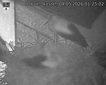 Capi_Dubne_20260504_012502.jpg