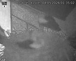 Capi_Dubne_20260504_013502.jpg