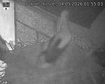 Capi_Dubne_20260504_015503.jpg