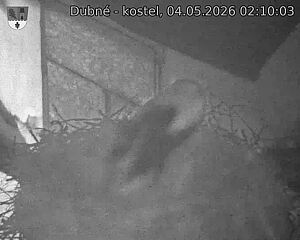preload