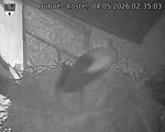 Capi_Dubne_20260504_023503.jpg
