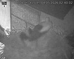 Capi_Dubne_20260504_024002.jpg