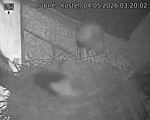 Capi_Dubne_20260504_032002.jpg