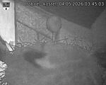 Capi_Dubne_20260504_034503.jpg