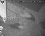 Capi_Dubne_20260504_043502.jpg