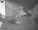 Capi_Dubne_20260504_045002.jpg