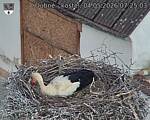 Capi_Dubne_20260504_072503.jpg