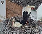 Capi_Dubne_20260504_073003.jpg