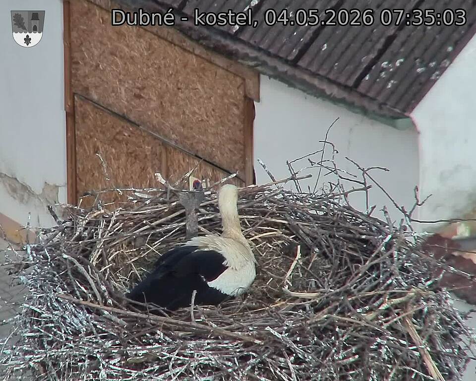 preload