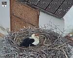 Capi_Dubne_20260504_074002.jpg