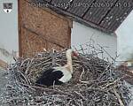 Capi_Dubne_20260504_074503.jpg