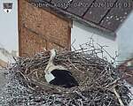 Capi_Dubne_20260504_101003.jpg