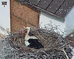 Capi_Dubne_20260504_102003.jpg