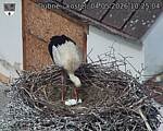 Capi_Dubne_20260504_102504.jpg