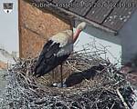 Capi_Dubne_20260504_121003.jpg
