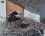 Capi_Dubne_20260504_123002.jpg