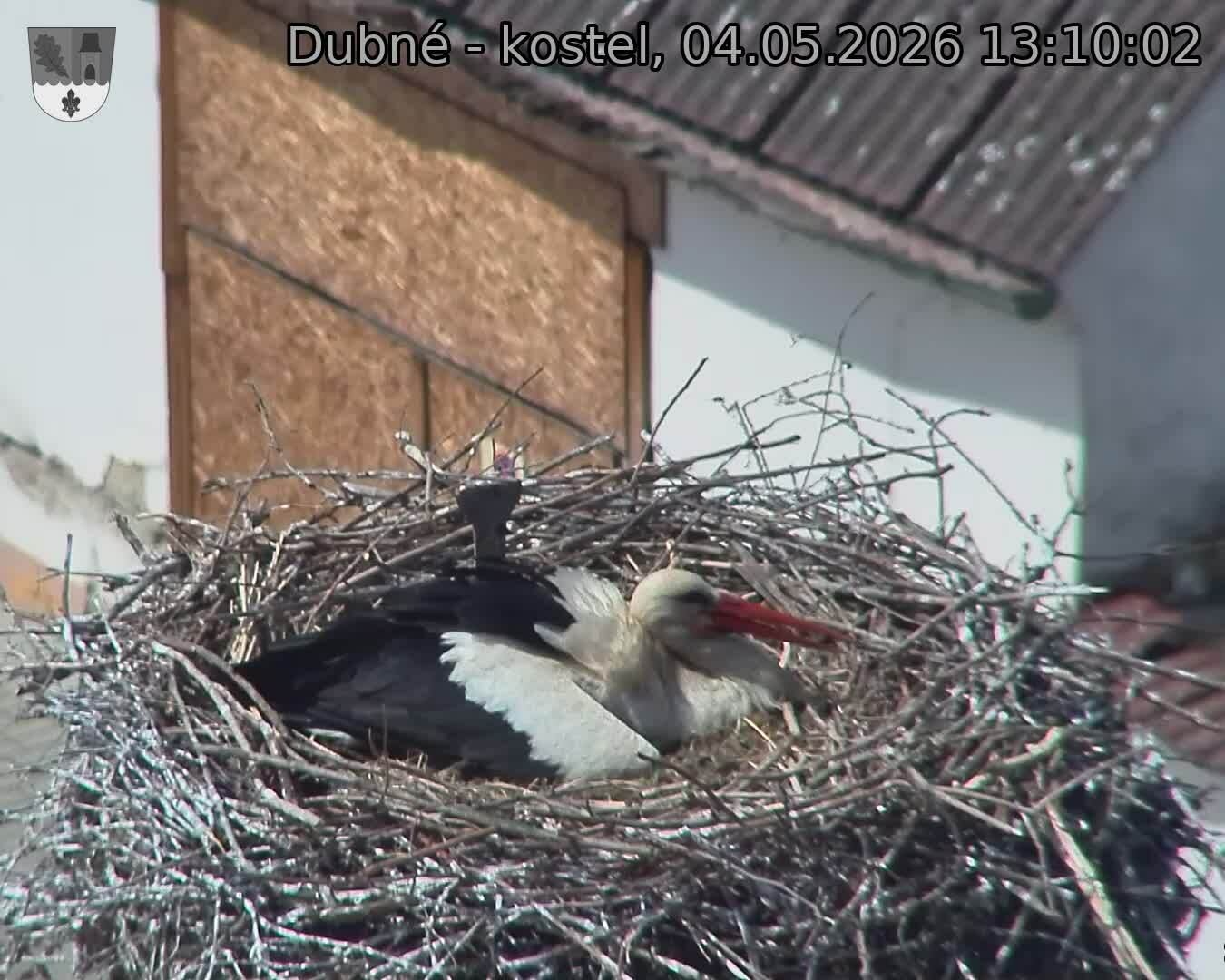 Capi_Dubne_20260504_131002.jpg (1350&nbsp;x&nbsp;1080)