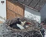 Capi_Dubne_20260504_131002.jpg
