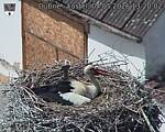 Capi_Dubne_20260504_132002.jpg