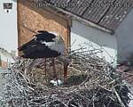 Capi_Dubne_20260504_134002.jpg