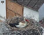 Capi_Dubne_20260504_140003.jpg