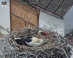 Capi_Dubne_20260504_140502.jpg