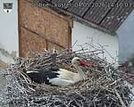 Capi_Dubne_20260504_141003.jpg