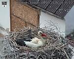 Capi_Dubne_20260504_143503.jpg