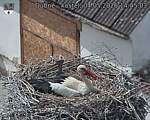 Capi_Dubne_20260504_144503.jpg