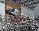 Capi_Dubne_20260504_145503.jpg