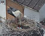 Capi_Dubne_20260504_150003.jpg
