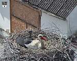 Capi_Dubne_20260504_153003.jpg