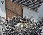 Capi_Dubne_20260504_153503.jpg