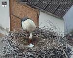 Capi_Dubne_20260504_155003.jpg