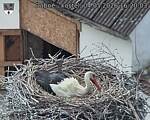 Capi_Dubne_20260504_162003.jpg