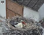Capi_Dubne_20260504_162503.jpg