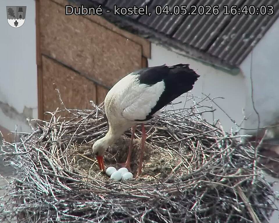preload