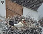 Capi_Dubne_20260504_165503.jpg
