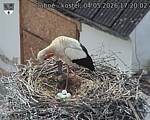 Capi_Dubne_20260504_172002.jpg