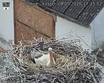 Capi_Dubne_20260504_172502.jpg