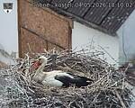 Capi_Dubne_20260504_181002.jpg