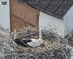 Capi_Dubne_20260504_182503.jpg
